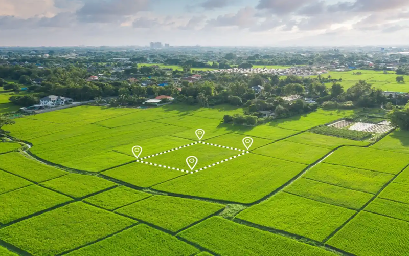 Plot 100 Sqrd Rate 45,000 Per Sqrd