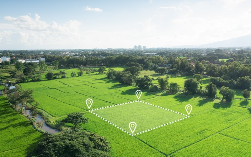 Land 5000 Sqrd Rate 15,000 Per Sqrd Converted Land 143