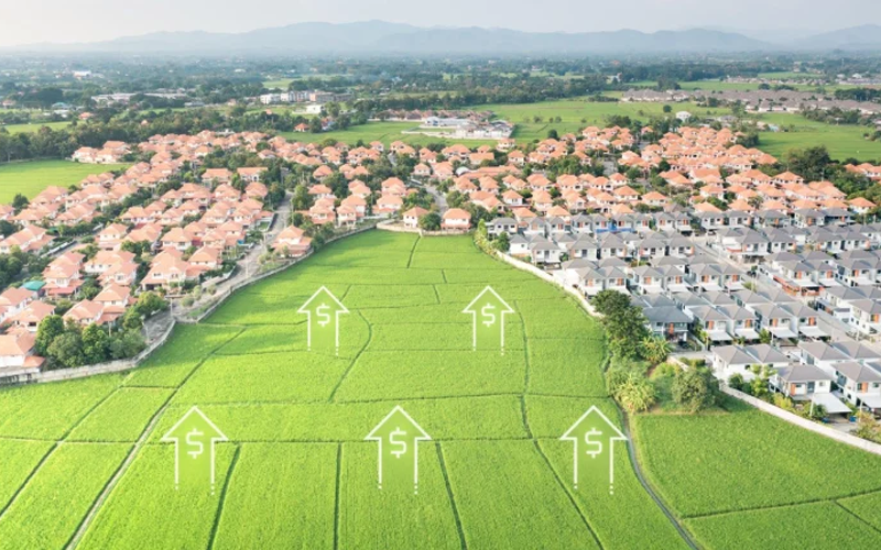 Land 6000 Sqrd Rate 10,000 Per Sqrd