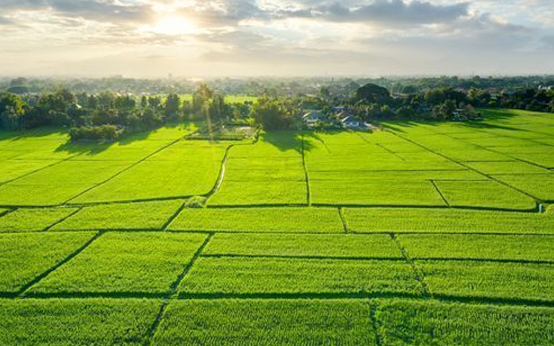 Plots Available Rate 65,000 Per Sqrd